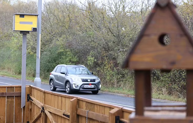 Un vecino construye una casa para pájaros que parece un radar para que los coches que pasan por la zona reduzcan la velocidad