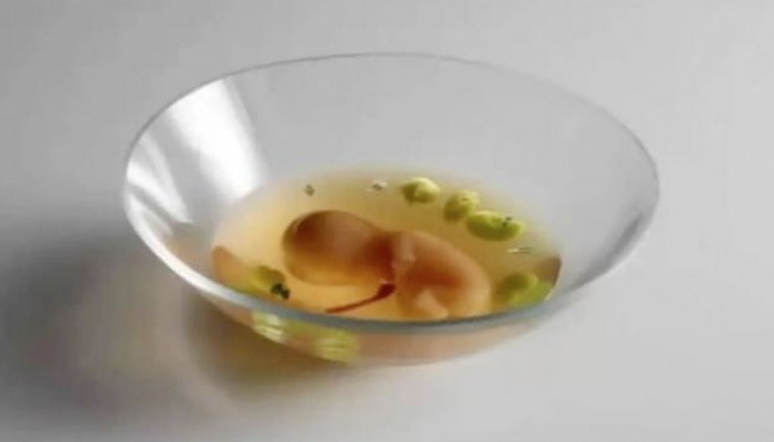 El restaurante Mugaritz responde a las críticas por su plato con un embrión humano simulado