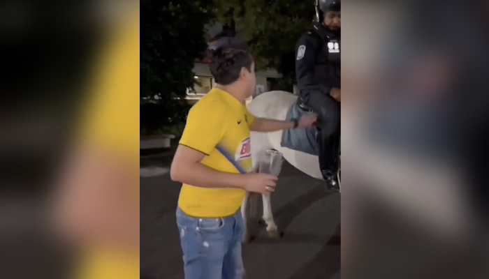 "¿Lo puedo acariciar?" - miBrujula.com