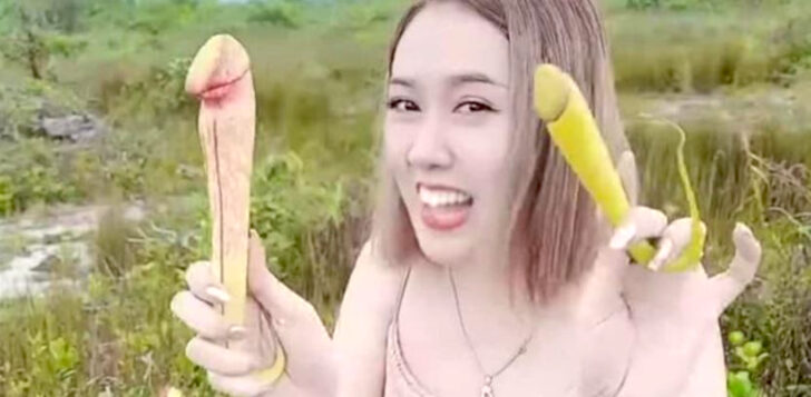 El gobierno de Camboya pide a las mujeres que dejen de jugar con plantas pene